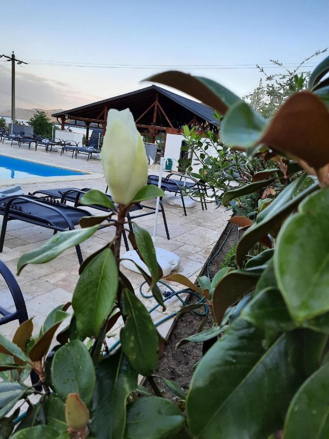 Clisura Dunarii - Pensiunea Casa Creta Liborajdea Luaran gambar
